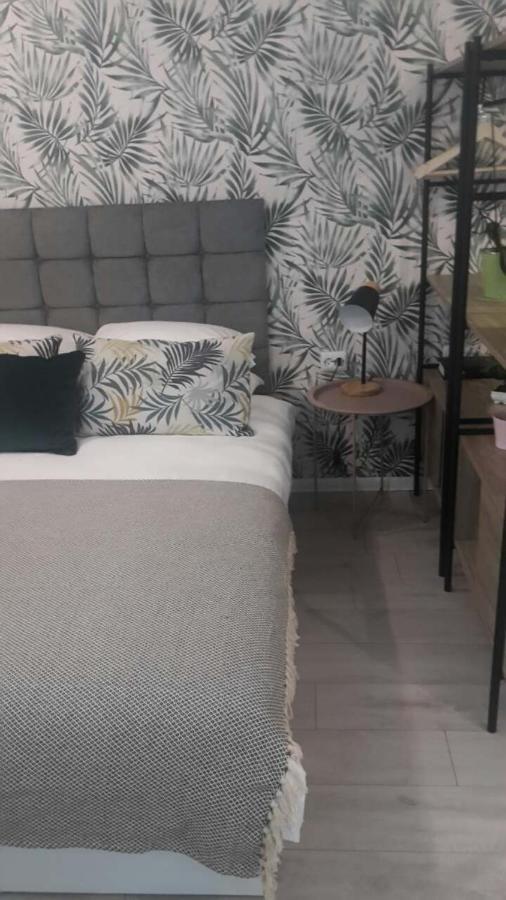 The Cozy Studio, Varna City Centre ภายนอก รูปภาพ